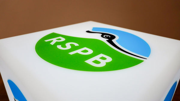 How a Wildlife Charity Strengthened Their Event Presence with Custom Light Cubes