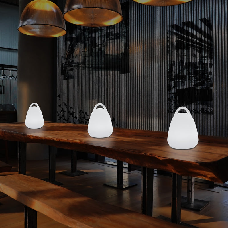 LED Lantern Light, Decorative Table Lamp for Living Room with White E27 Bulb, 23cm