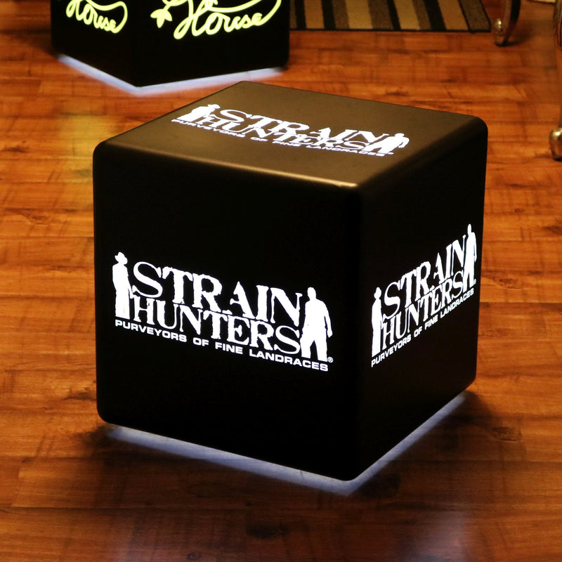 Customised Branded Light Box Stool Seat Table, Free Standing Illuminated RGB Display Sign